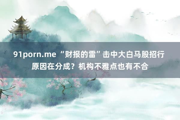 91porn.me “财报的雷”击中大白马股招行 原因在分成？机构不雅点也有不合
