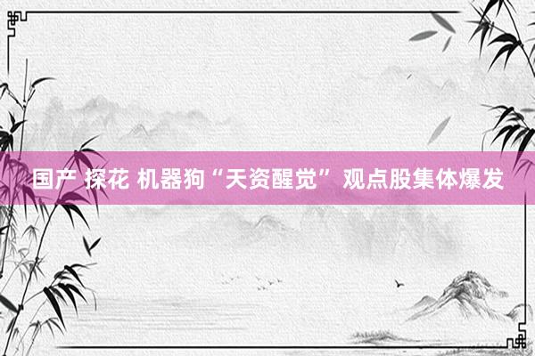 国产 探花 机器狗“天资醒觉” 观点股集体爆发