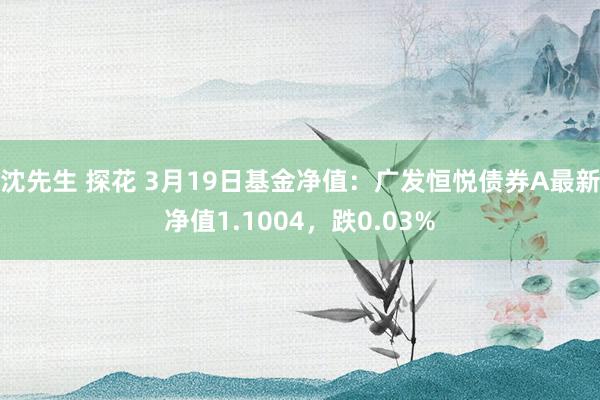 沈先生 探花 3月19日基金净值：广发恒悦债券A最新净值1.1004，跌0.03%