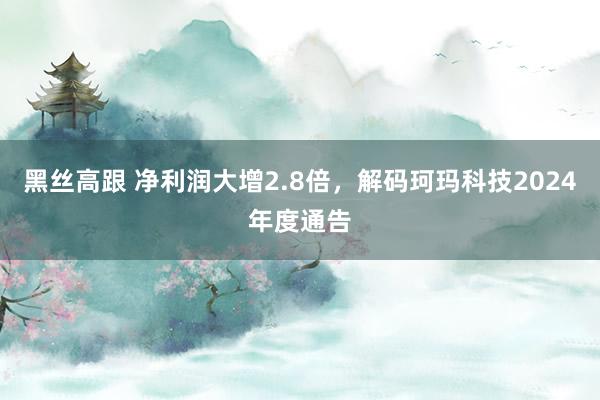 黑丝高跟 净利润大增2.8倍，解码珂玛科技2024年度通告