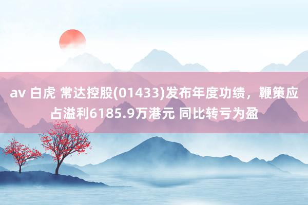 av 白虎 常达控股(01433)发布年度功绩，鞭策应占溢利6185.9万港元 同比转亏为盈
