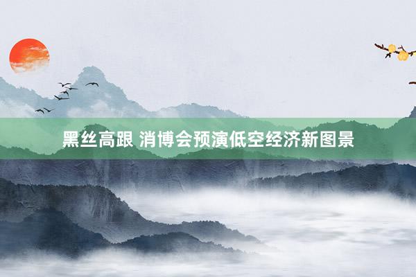 黑丝高跟 消博会预演低空经济新图景