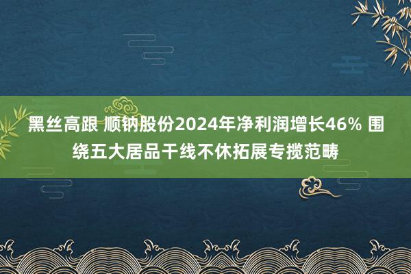 黑丝高跟 顺钠股份2024年净利润增长46% 围绕五大居品干线不休拓展专揽范畴