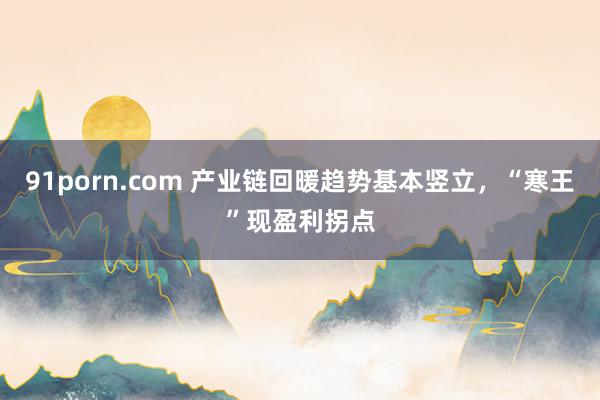 91porn.com 产业链回暖趋势基本竖立，“寒王”现盈利拐点